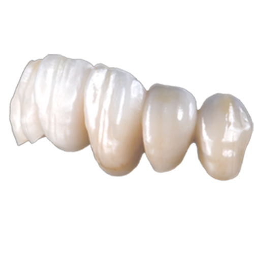 KOREAN ZIRCONIUM CROWN